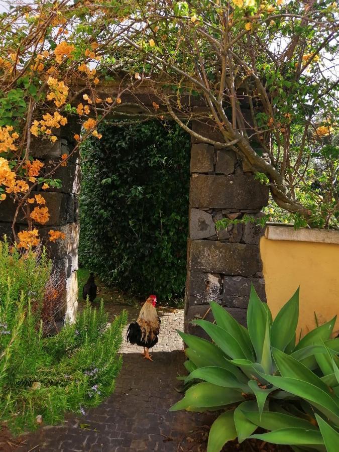 Casa Da Japoneira Hotel ออร์ตา ภายนอก รูปภาพ